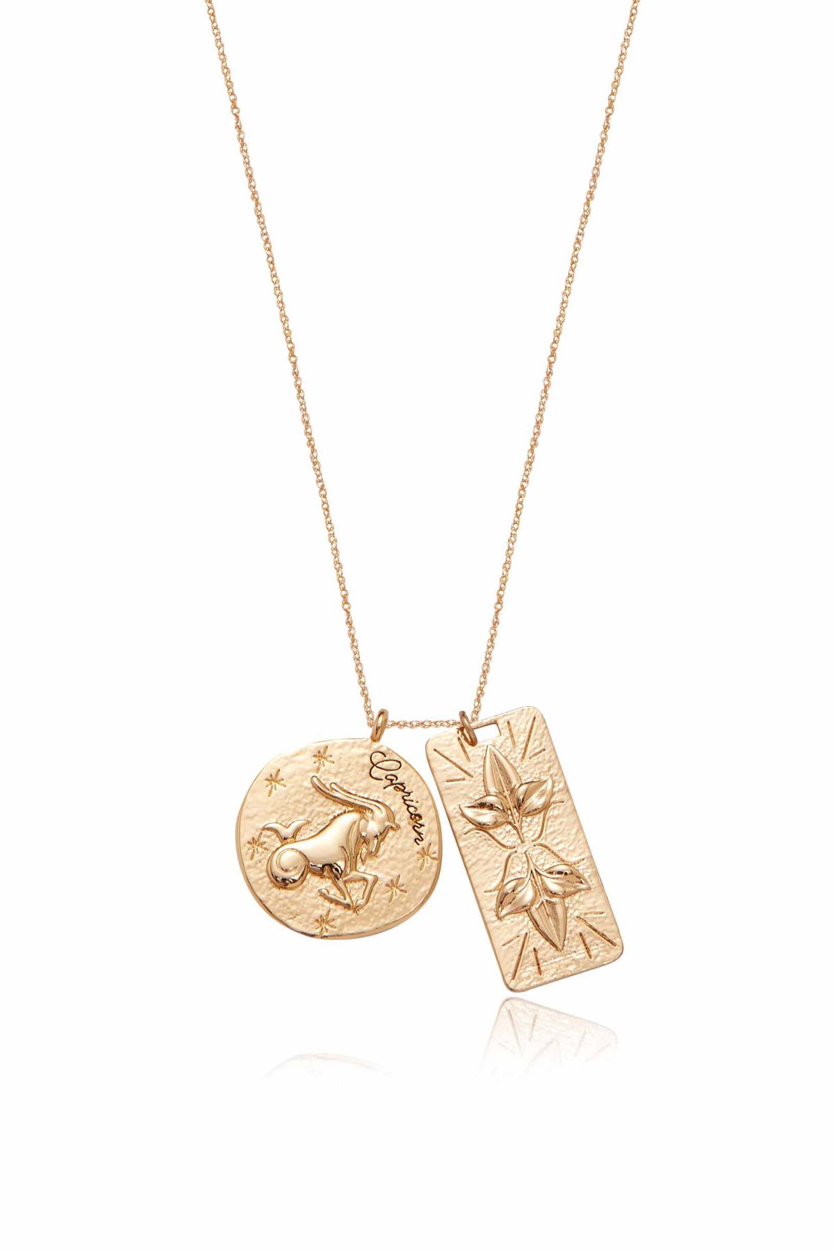 Zodiac Double Medallion Necklace - Aquarius | Ettika