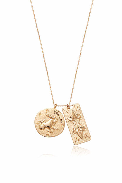 Zodiac Double Medallion Necklace - Aquarius | Ettika
