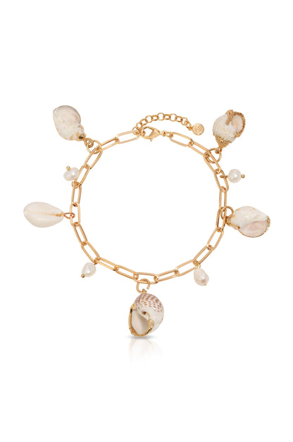 Paperclip Chain Multi-Shell Charm Anklet - Shell with 18k Gold Plating | Ettika