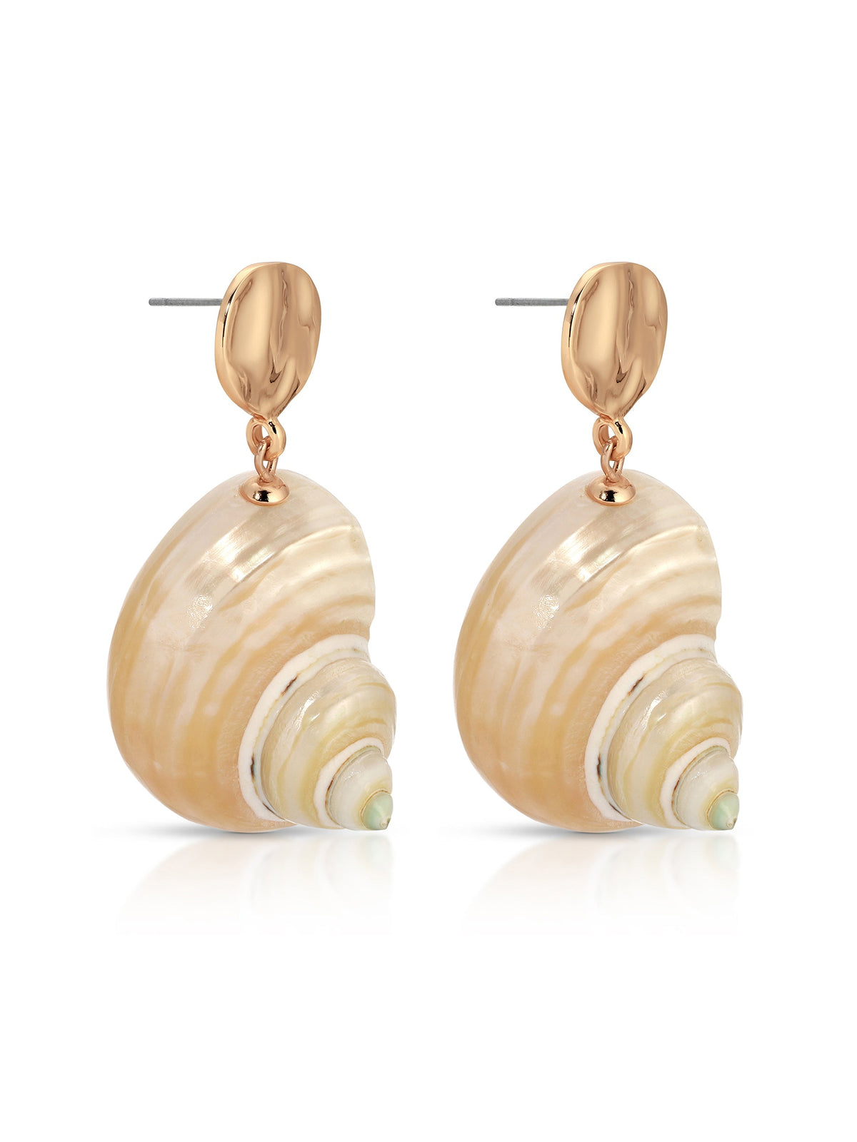 Sunken Treasure Shell Earrings - Shell with 18k Gold Plating | Ettika