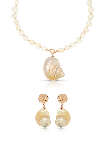 Sunken Treasure Shell Set | Ettika